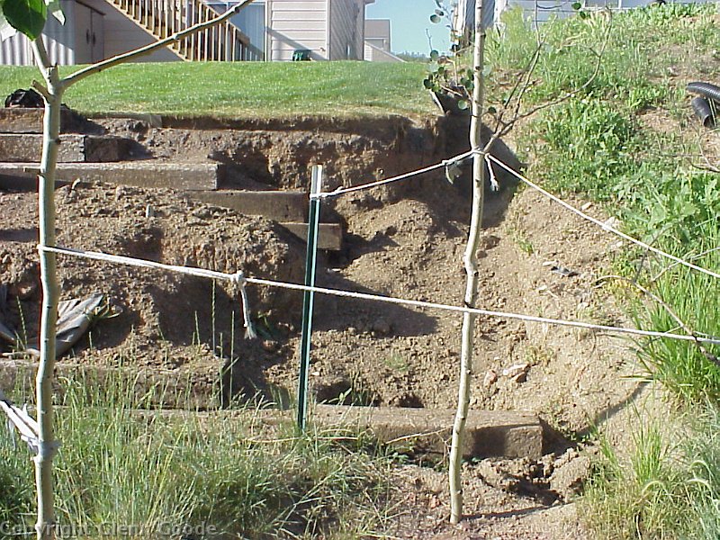MVC-239X