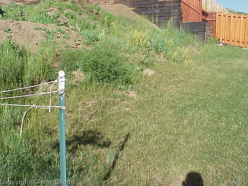 MVC-241X