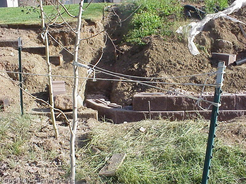 MVC-255X