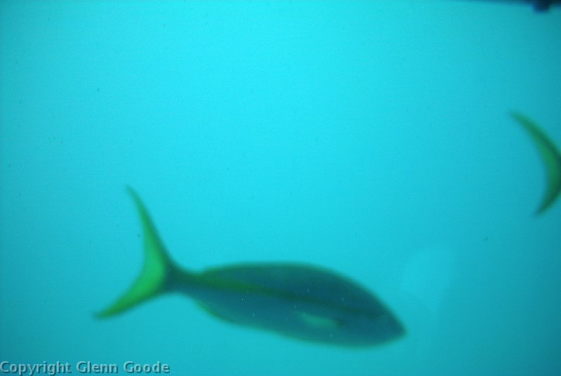 Image022