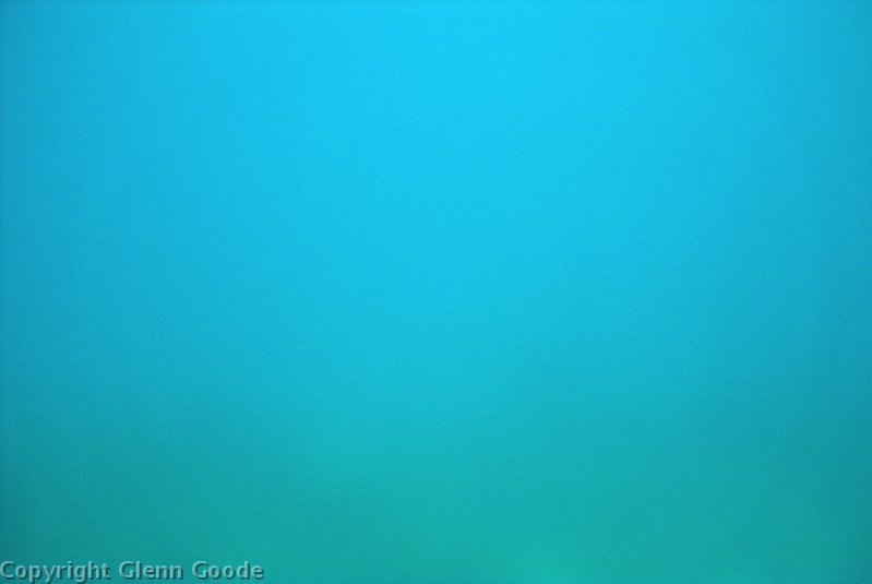 Image026