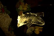 Image065