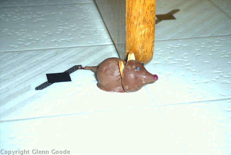 Image011