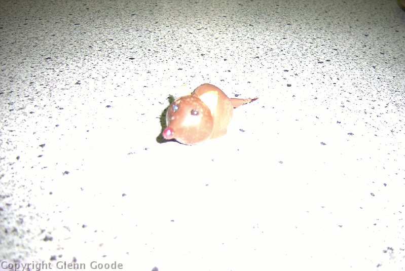 Image019