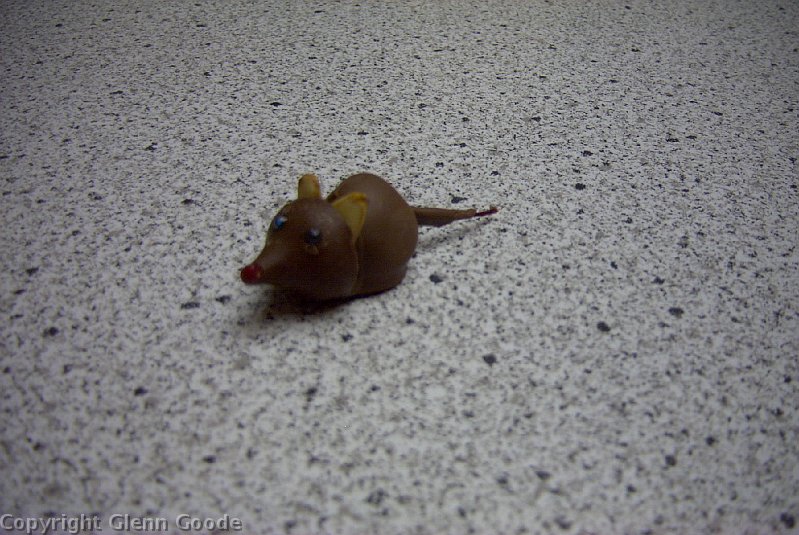 Image020