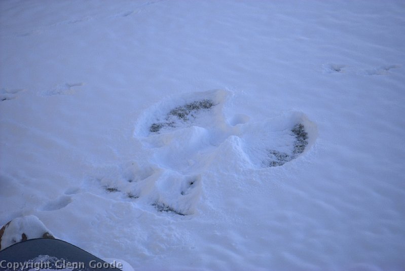 Image021