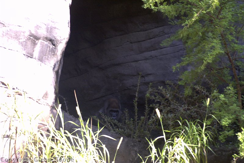 Image011