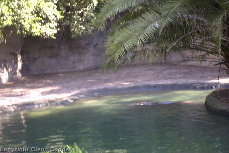 Image014