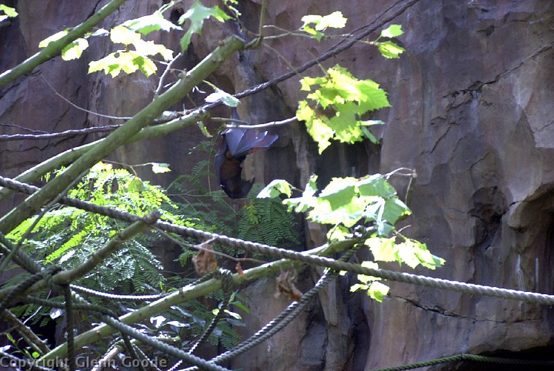 Image025