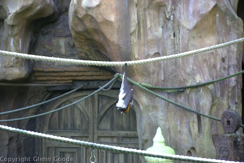 Image026