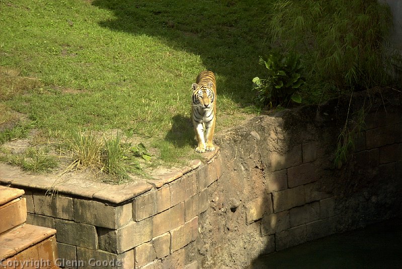 Image029