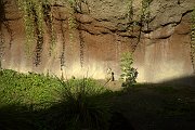 Image004