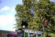 Image058