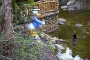 Image072