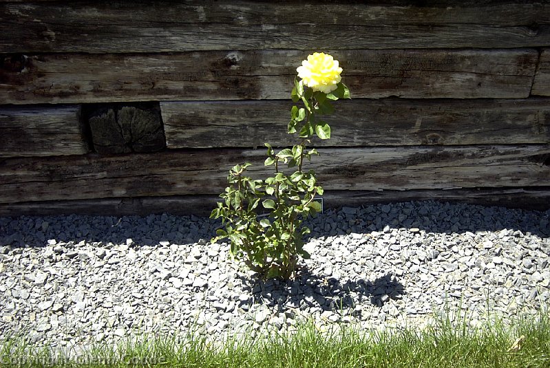 Image003
