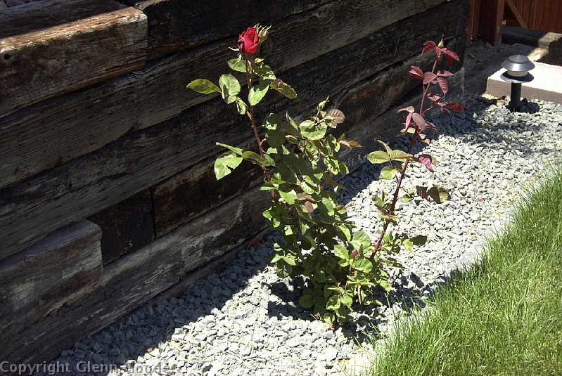 Image005