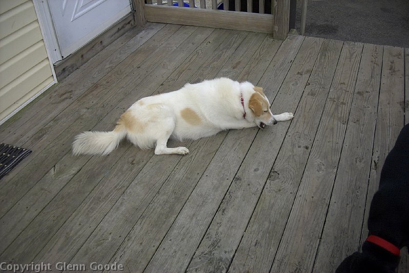 Image021