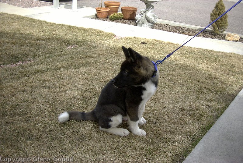 Image063