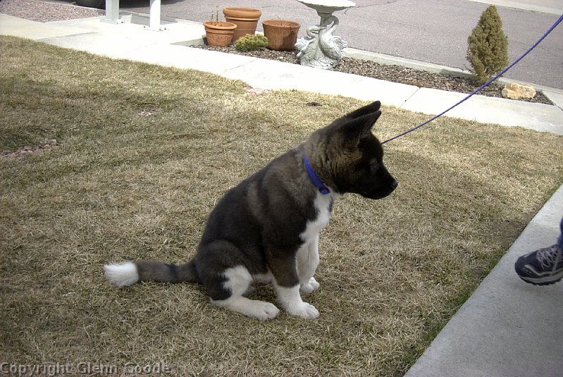 Image064