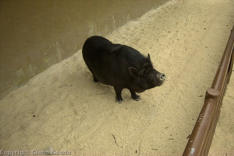 Image013