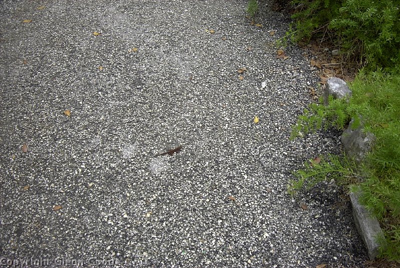 Image018