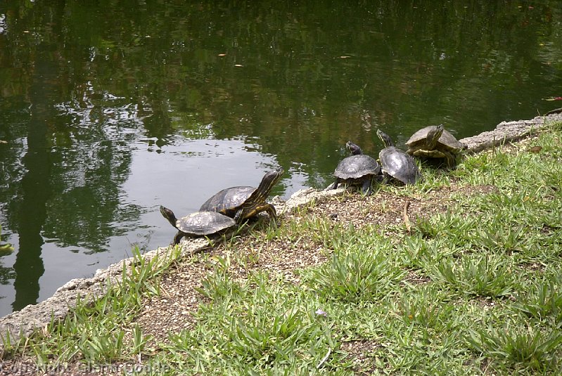 Image020