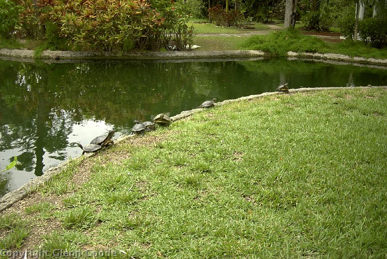 Image021