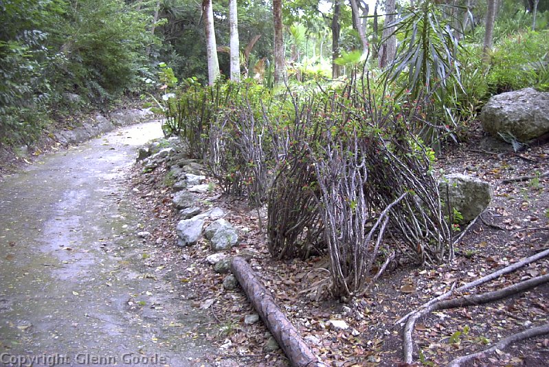 Image026