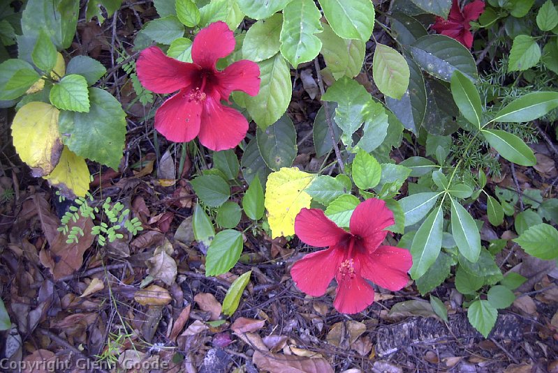 Image028
