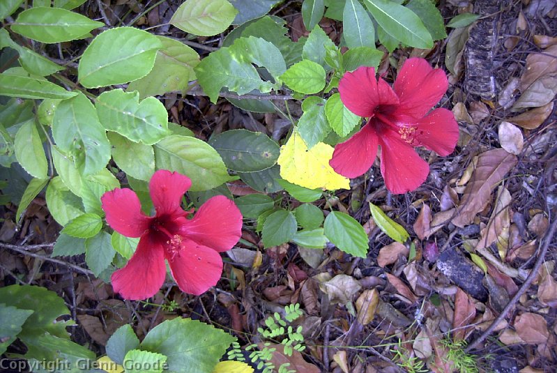Image029