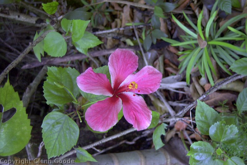 Image031