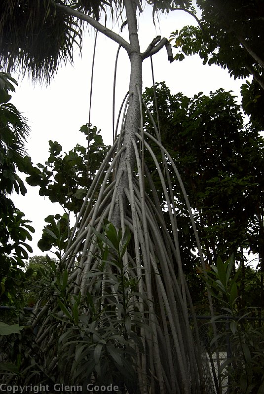 Image034