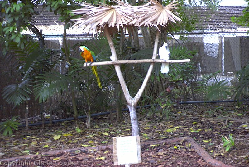 Image035