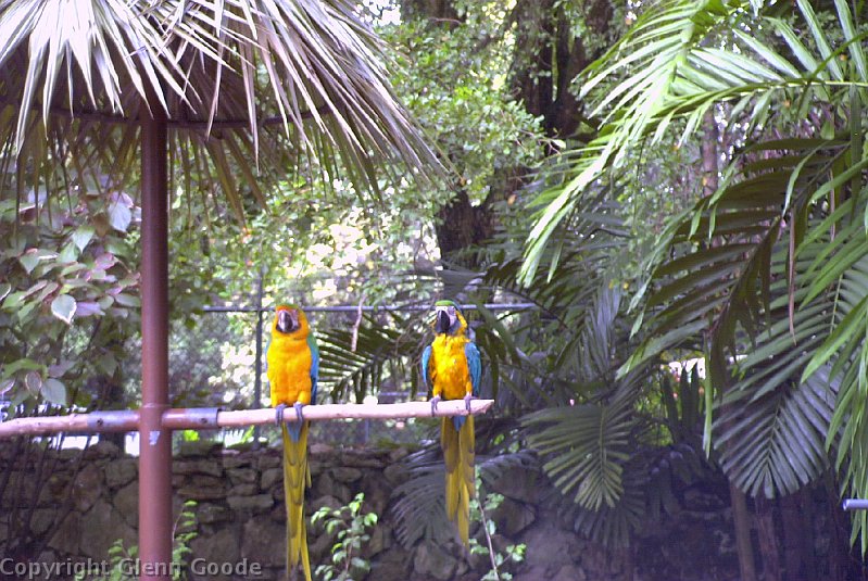 Image036