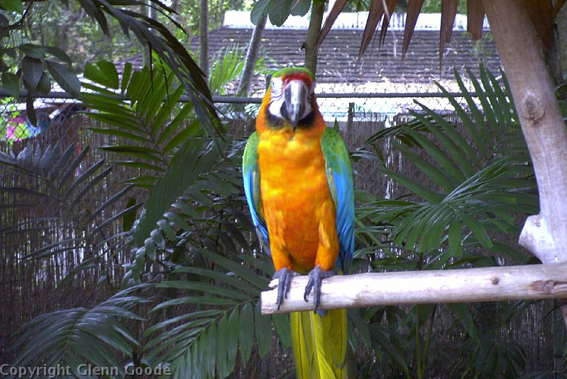 Image037