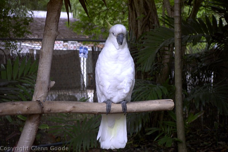 Image038