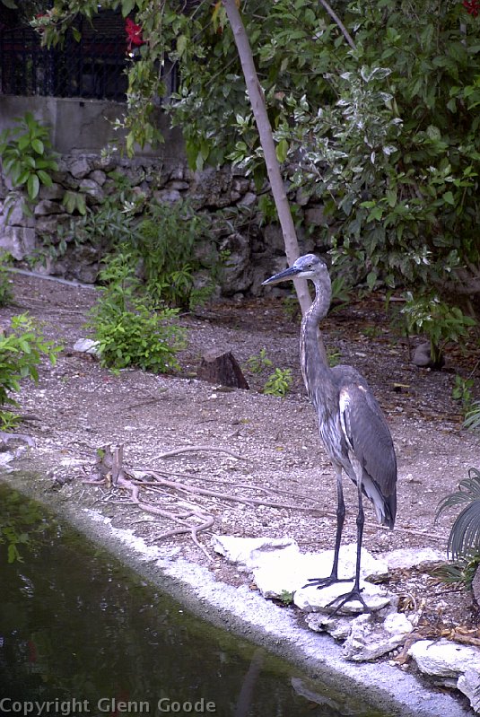 Image040