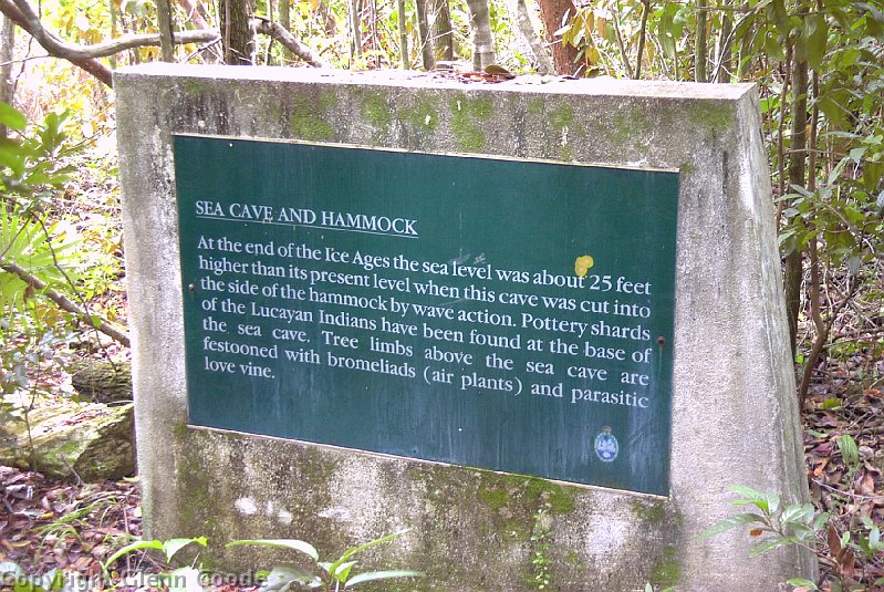 Image050