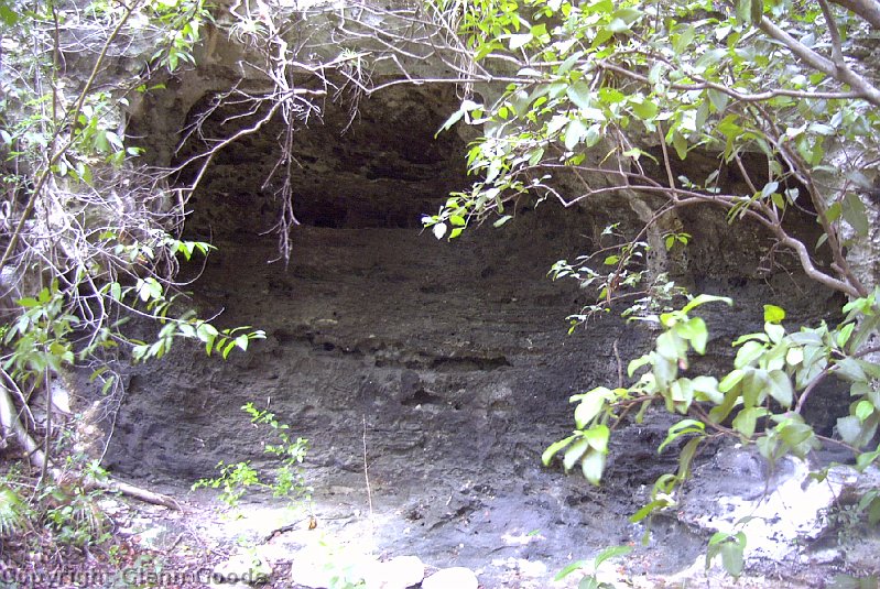 Image051