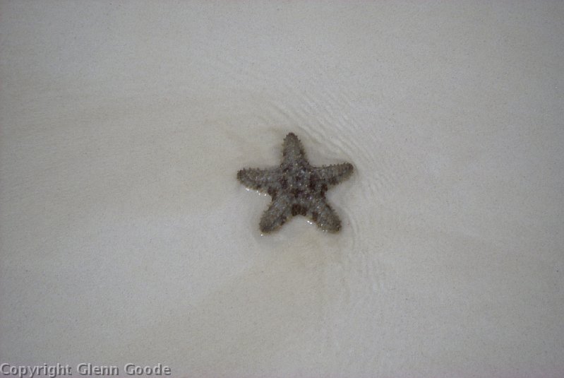 Image078