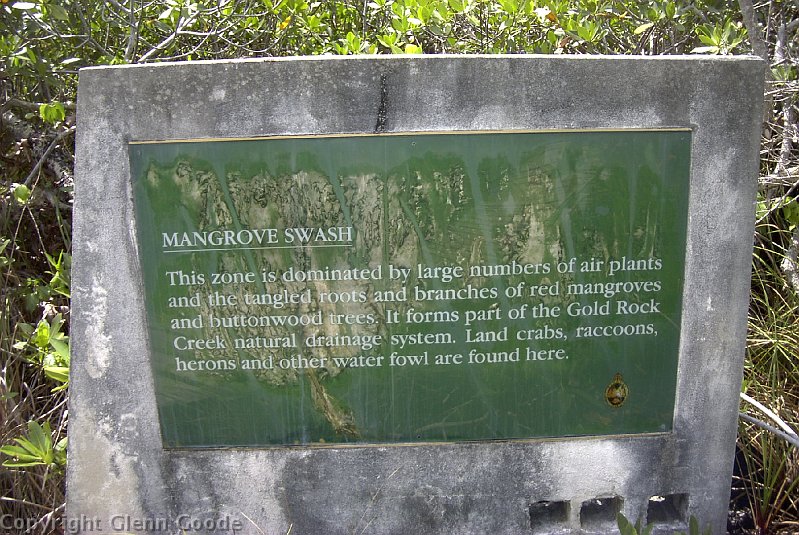 Image081