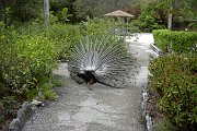 Image010