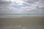 Image066