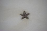 Image078