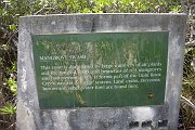 Image081