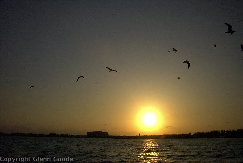Image015