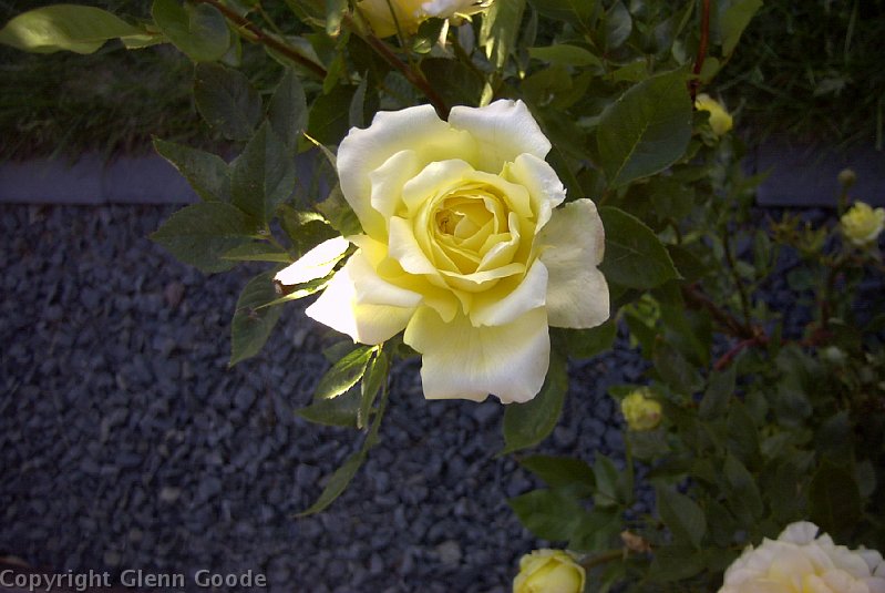 Image001