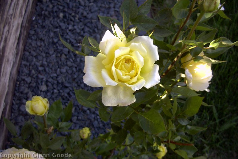 Image002