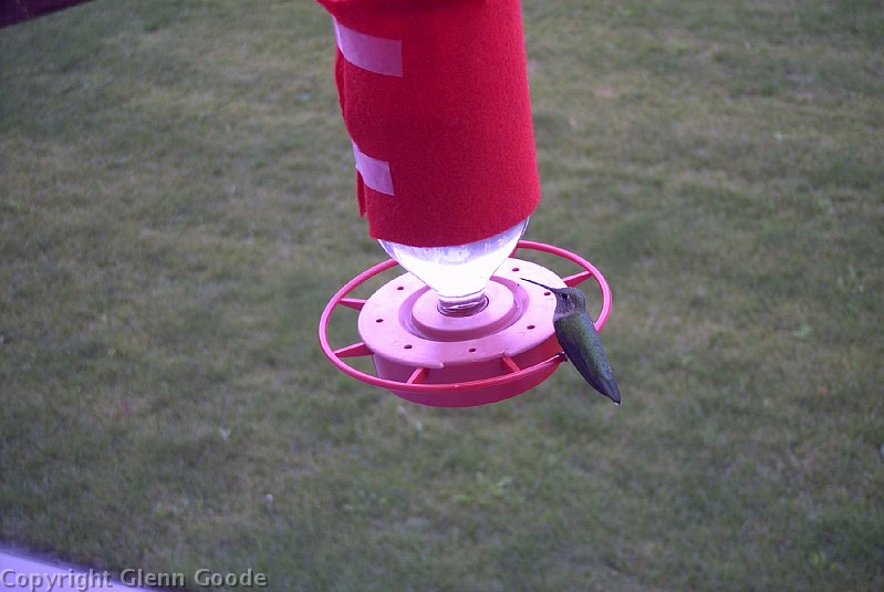 Image010