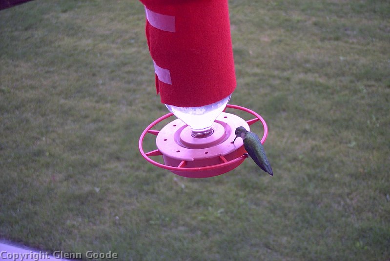Image011